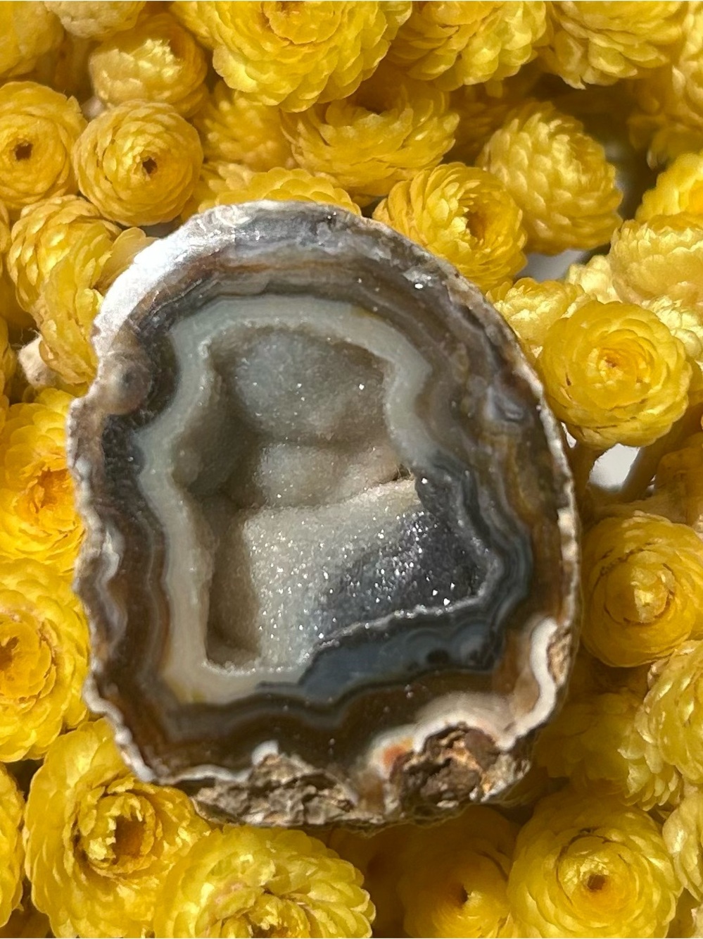 Natural Agate Geode with Sparkling Druzy (3)